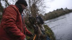 La pesca de la lamprea en el Ulla