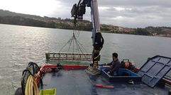 Arado de los bancos marisqueros de la r�a de Pontevedra con el barco de la lonja de Campelo