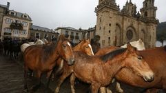 As San Lucas, en im�genes