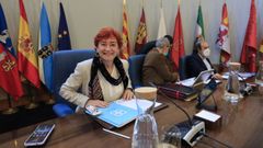 La sesi�n plenaria del 31 de mayo del 2022 la presidi� la nacionalista Maite Ferreiro, por ausencia de Jos� Tom�