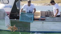 Un nuevo cierre tard�o por toxina exalta a los navalleiros de la Costa da Morte