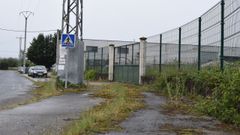 Maleza en la calle principal del pol�gono.  Deber�a estar igual de cuidada que las del pueblo , denuncian los propietarios