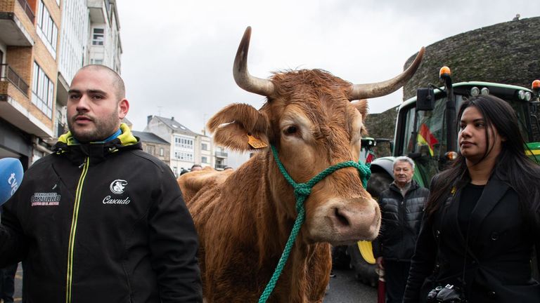 Diego Cascudo teme un mal futuro para ganaderos como �l si sale adelante el acuerdo con Mercosur