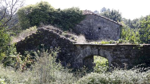 Una vista del pazo de Trasouteiro, con su puerta en forma de arco totalmente cubierta por la maleza.