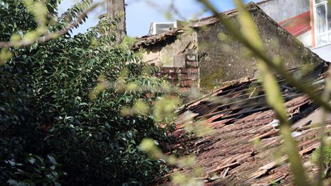 La maleza devora el patio trasero de la narcocasa y se extiende hacia las propiedades de su alrededor