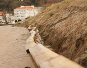 La estructura de madera se ha alterado en varios puntos. 