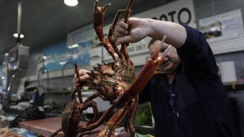 Marisco y pescado en la plaza de Lugo, en A Corua