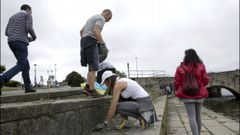 Voluntarios limpian 25 espacios naturales en Galicia