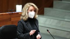 La presidenta del PP en Asturias, Teresa Mallada, durante el pleno en la Junta General del Principado