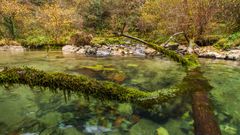 Selecci�n de fotograf�as del libro �Asturias, el pa�s del agua�