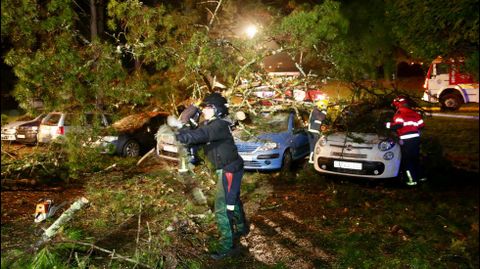 Cae un rbol encima de siete coches en ACEA Da Ama