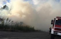 Incendio en el monte Alfeir�n