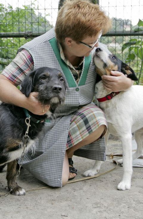 Pilar con los tres perros que acaba de adoptar, que pertenec�an a una mujer con c�ncer terminal