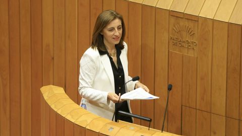 La conselleira de Medio Ambiente e Cambio Clim�tico, �ngeles V�zquez, durante una comparecencia en el Parlamento, en una imagen de archivo.