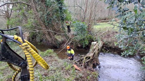 Inicio de las obras, con la retirada de �rboles y vegetaci�n del cauce,�el lunes