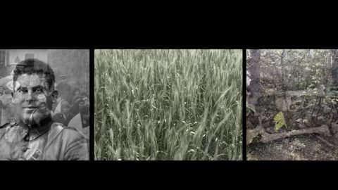 Ereignis. Vox Clamantis