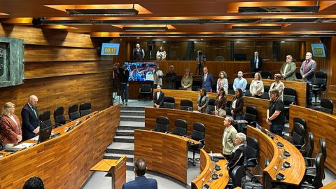 PSOE, IU-Convocatoria por Asturias y Covadonga Tom� guardan un minuto de silencio en memoria de Maricarmen mientras PP, Vox y Foro se ausentan del hemiciclo