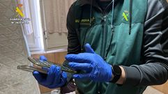 En los registros realizados, entre ellos uno en Milladoiro, se invervinieron 52 telfonos mviles.