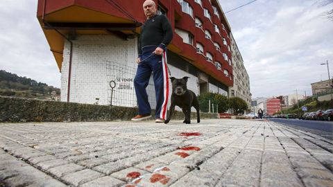 Zona de Jaime Janer donde fue apualada la mujer de 47 aos este lunes en Marn