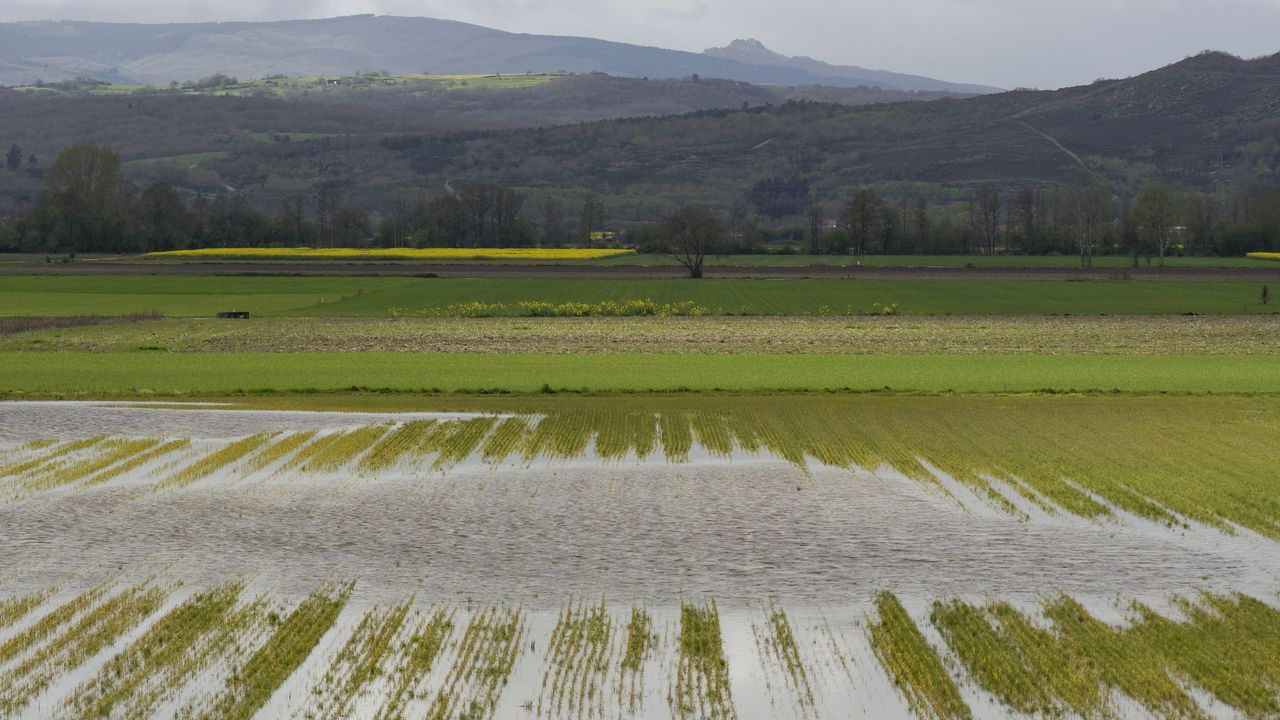 Así fueron las lluvias que causaron la gran crisis en Galicia hace 250 años