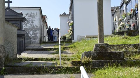 La maleza se apodera del cementerio.