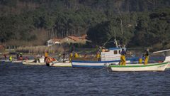 �Ser� posible que as m�is de 500 embarcaci�ns nunha ma�� de marisqueo na r�a de Muros-Noia emitan unha sinal de xeolocalizaci�n e que esta sirva para algo?�, preg�ntase a Federaci�n Galega de Confrar�as, que preside P�rez Sieira