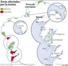 �reas afectadas por la toxina