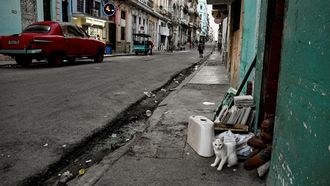 Un hombre y su gato se asoman a la puerta de su casa, en La Habana