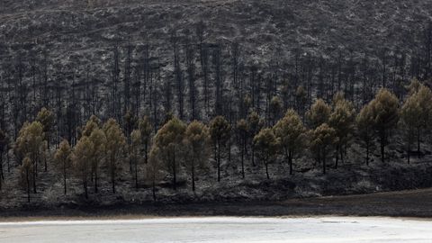 Incendios declarados en la sierra de Leire, Tafalla y Olleta-Leoz, en Navarra, que ya est�n estabilizados