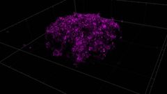 Los investigadores han dise�ado e insertado nanoreactores artificiales en modelos de tejidos tumorales