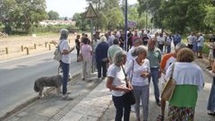 Protesta ante el solar donde se talaron los pinos
