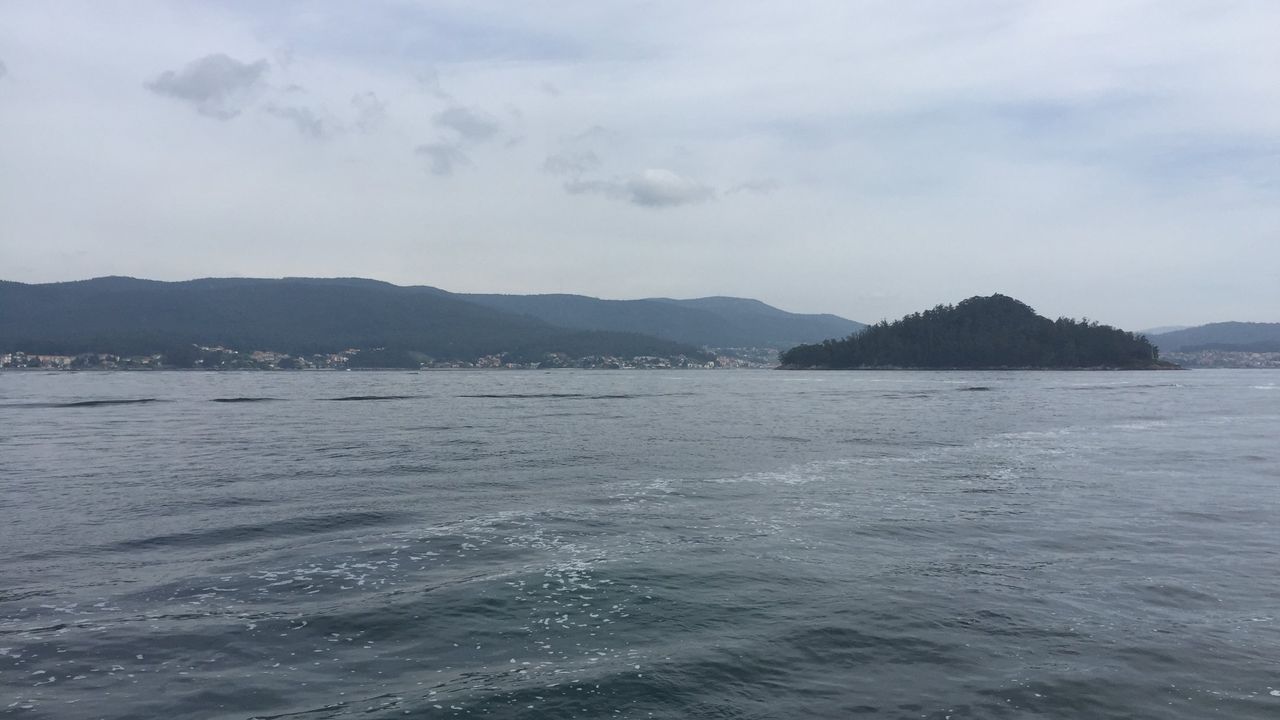 Adega pide que se retire del proyecto del dragado del Lérez por los riesgos que supone