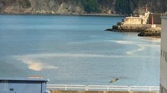 Minutos despu�s de las diez de la ma�ana de este jueves, el emisario esparci� restos fecales en la d�rsena celeirense