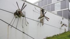 El campus de Ourense atesora una gran colecci�n de arte
