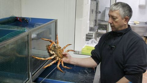 Prez Cribeiro en el vivero de las instalaciones que mont hace aos en Cedeira