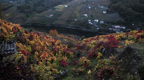 Los colores luminosos de una via de O Saviao con el Mio al fondo