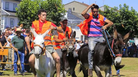 Escairn vivi un ao ms su popular carrera de burros, una de las convocatorias ms caractersticas de las fiestas de esta localidad
