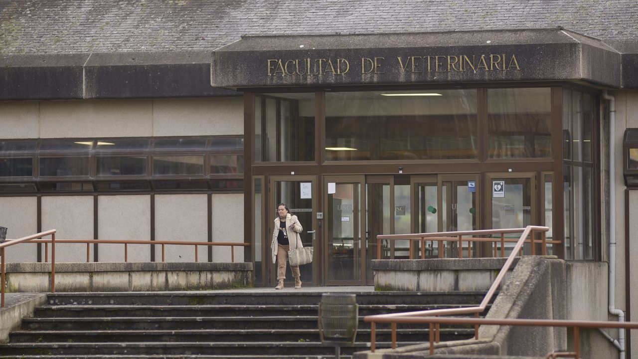 El Colegio de Veterinarios rendirá homenaje con una comida al colegiado fallecido Xan Pérez