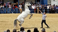 Imagen de archivo de la Feira Cabalar�de Tui