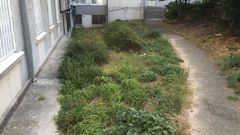 Plazuela entre la avenida de la Concordia y la calle Jos� Mar�a Hernans�ez, en el barrio de O Castrill�n.