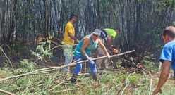 Los vecinos se movilizaron de inmediato, incluso despejando el per�metro de las casas con motosierra.