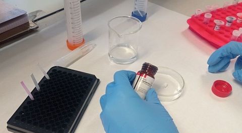 Prueba para detectar la presencia de burundanga