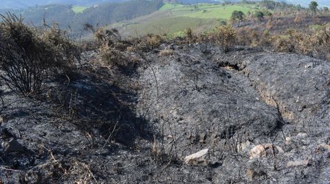 Resultados del incendio.Resultados del incendio