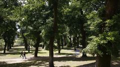 Carballeira de Caldas