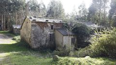 A Bveda, aldea vaca en Ourol