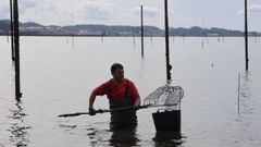 Un parquista trabaja intentando devolver la normalidad a sus viveros.
