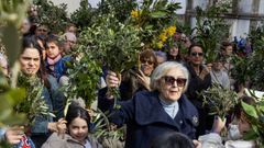 El Domingo de Ramos en Carballo.
