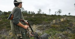 Inicio de la caza menor, en una de las �ltimas temporadas, en el coto de Chantada. 