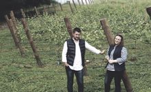 La bodega fue creada por dos j�venes emprendedores. 