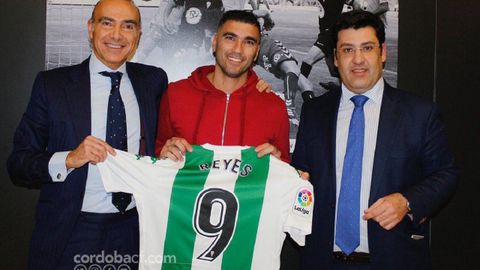 Reyes